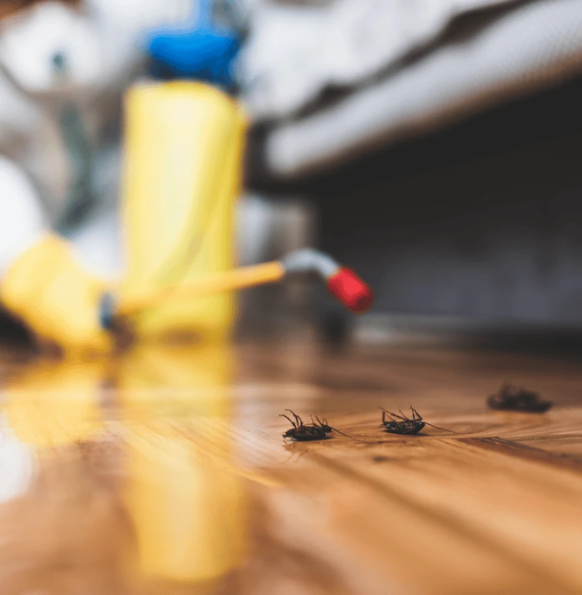 Trust, Quality, and Reliable Results